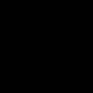 Meet your Posher, Aubrielle